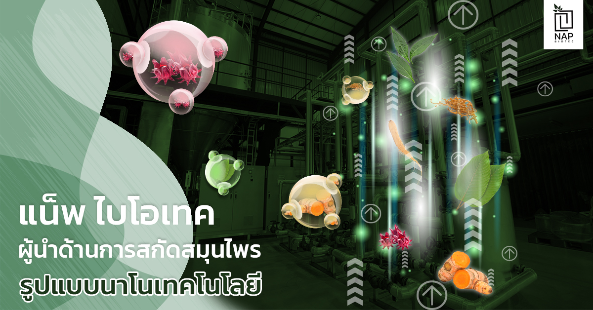 แน็พ ไบโอเทค ผู้นำด้านการสกัดสมุนไพรรูปแบบนาโนเทคโนโลยี