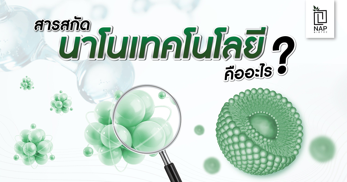สารสกัดนาโนเทคโนโลยีคืออะไร