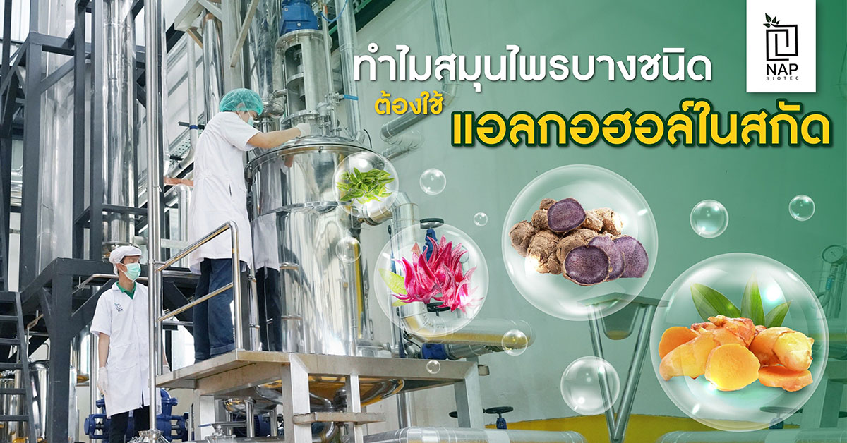 ทำไมสมุนไพรบางชนิดต้องใช้แอลกอฮอล์ในสกัด ?