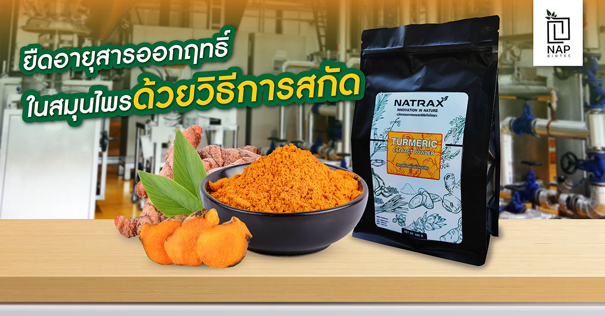 ยืดอายุสารออกฤทธิ์ในสมุนไพรด้วยวิธีการสกัด