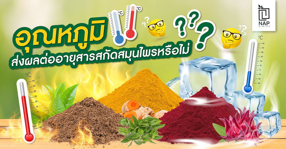 อุณหภูมิส่งผลต่ออายุสารสกัดสมุนไพรหรือไม่
