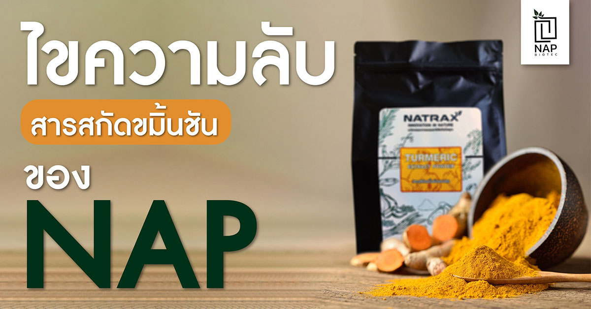 ไขความลับสารสกัดขมิ้นชันของ NAP