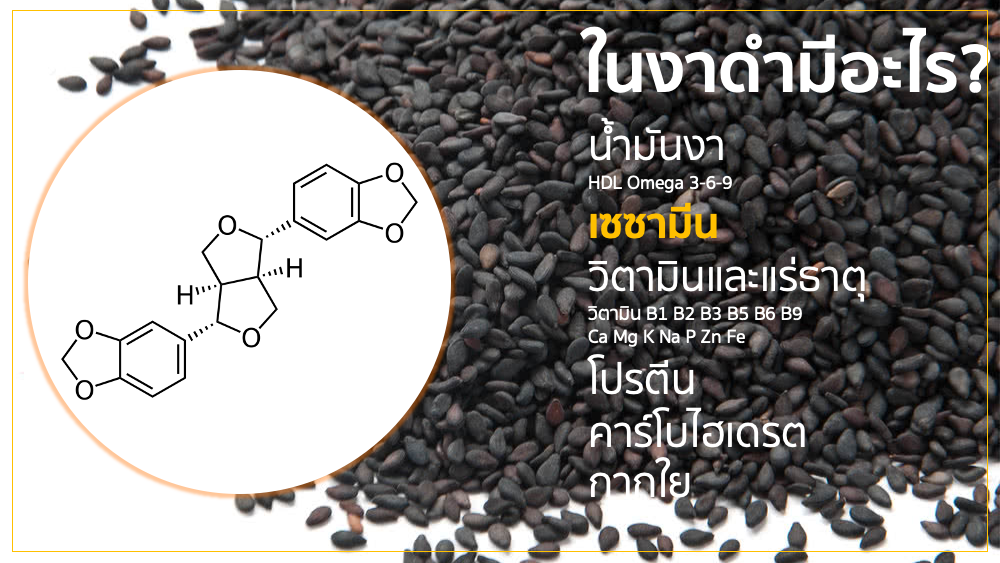 ในงาดำมีอะไร?
