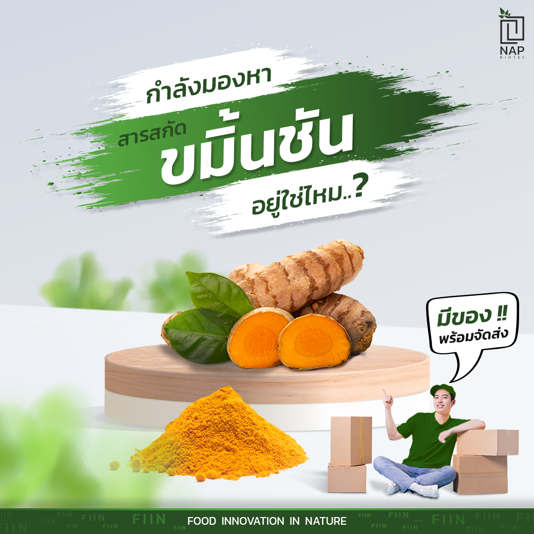“ขมิ้นชัน” (Turmeric) สมุนไพรที่คนไทยรู้จักดี
