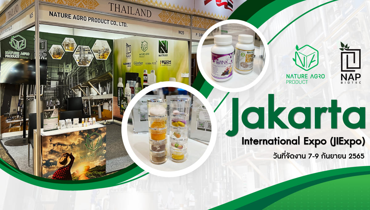งานออกบูธ Fi Asia Indonesia 2022 (7-9 SEP)