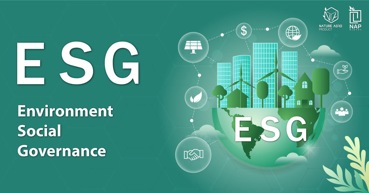 ESG เทรนด์แนวคิดใหม่ที่กำลังมาแรงในการดำเนินธุรกิจและการลงทุน