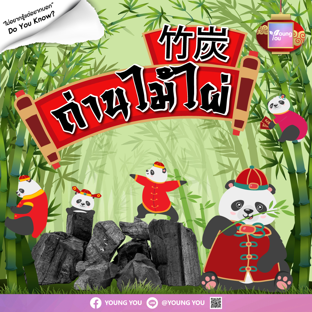 ถ่านไผ่ – Bamboo Reform