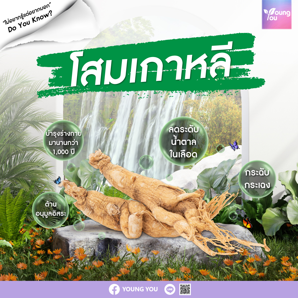 สิ่งที่คุณยังไม่รู้เกี่ยวกับ โสมเกาหลี