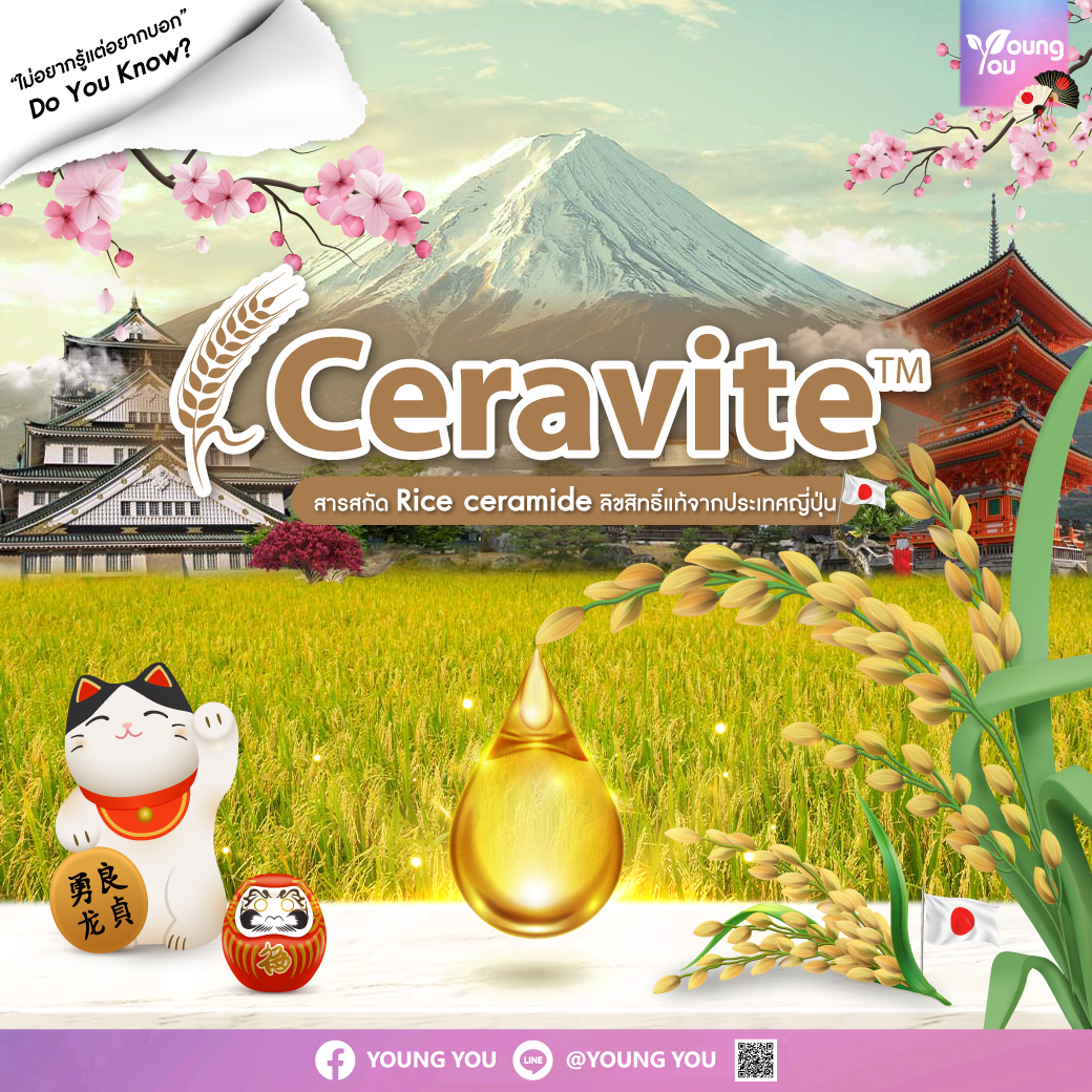 CERAVITETM คืออะไร