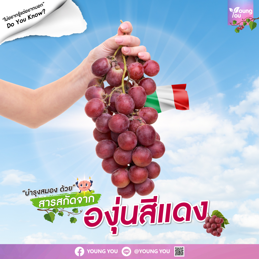 “Cognigrape” สารสกัดจากองุ่นแดง