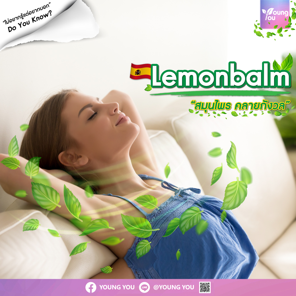 “Lemon balm” สมุนไพรคลายกังวล