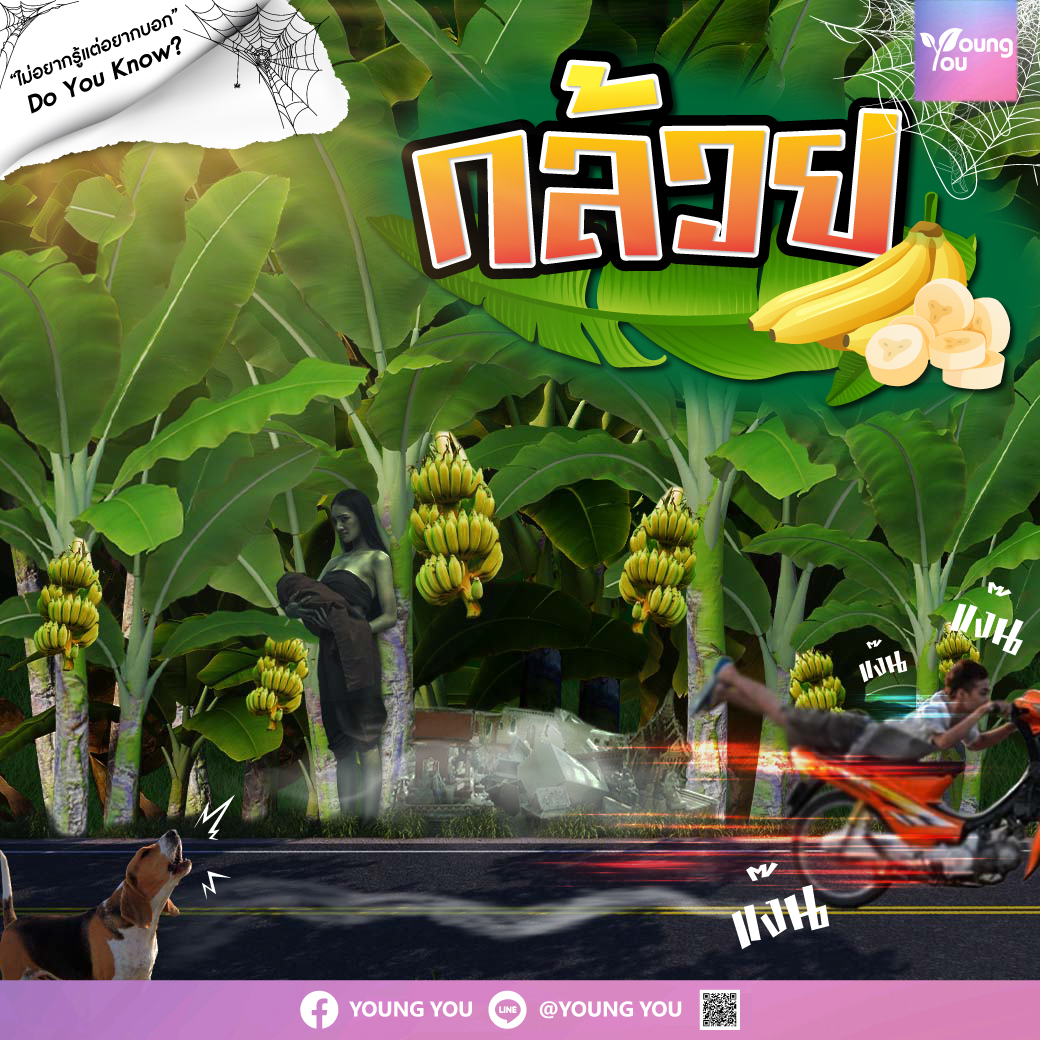 กล้วยน้ำว้า
