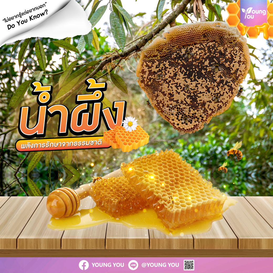 น้ำผึ้ง พลังการรักษาจากธรรมชาติ