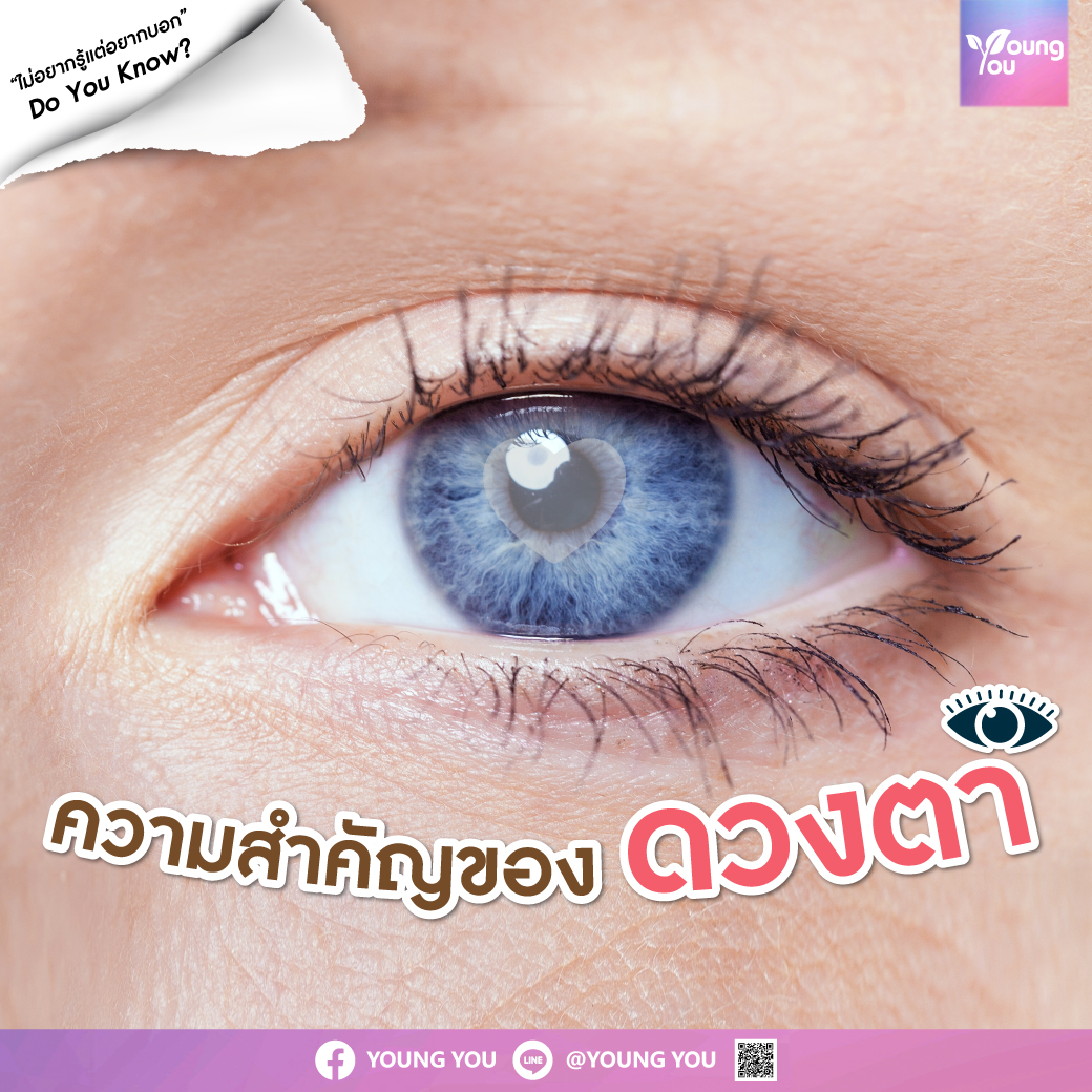 ความสำคัญของ “ดวงตา”