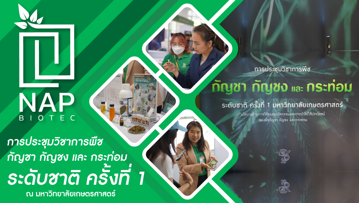บริษัท แน็พ ไบโอเทค จำกัด เข้าร่วมการออกบูธ ในการประชุมวิชาการพืช กัญชา กัญชง และ กระท่อม ระดับชาติ